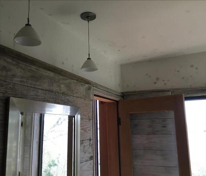 mold on ceiling and walls