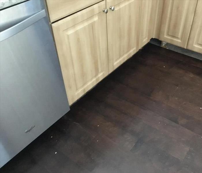 water on wood floor in front of dishwasher