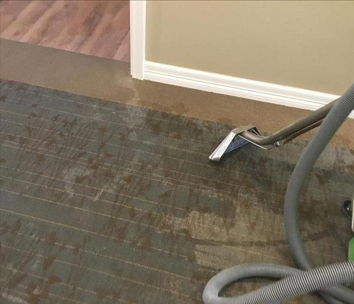 water extraction from carpeting
