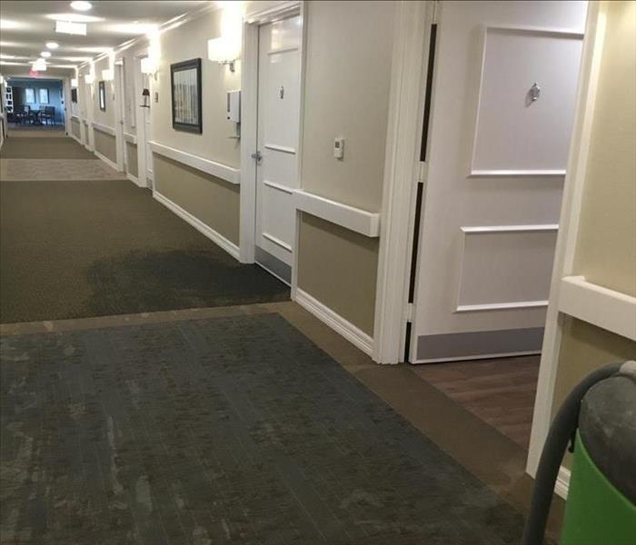 flooded carpeting in commercial builing